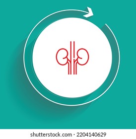 Diseño vectorial del plan de recuperación del tratamiento de la urología