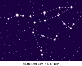 Ursa Major constellation. Starry night sky. Vector illustration