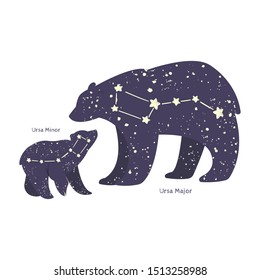 Ursa major and ursa minor. Big bear and little bear constellation in the night starry sky. Vector illustration