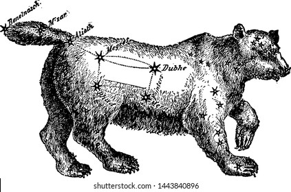 Ursa Major vintage engraved illustration. 