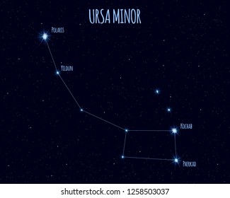 Ursa Minor (Little Bear, Little Dipper) constellation, vector illustration with the names of basic stars against the starry sky