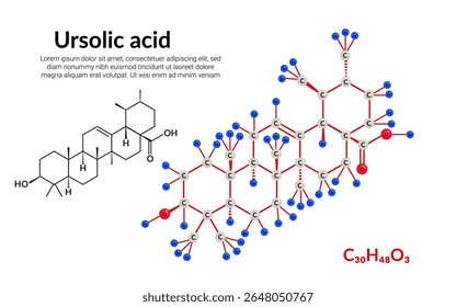 Ursolic acid or urson, pentacyclic triterpenoid, molecular structure formula, ball-and-stick model, suitable for education or chemistry science content. Vector illustration