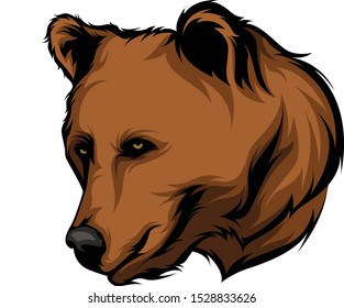 Ursus arctos ssp. Grizzly Bear Mascot