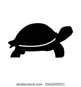 urtle Silhouette on White Background, Sea Turtle Vector with Clean Lines isolated on white background