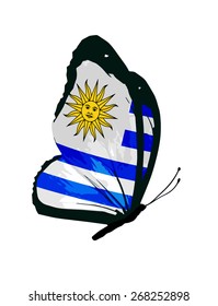 Uruguay flag butterfly - vector