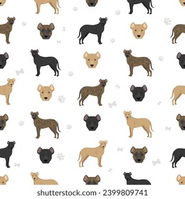 Uruguayan Cimarron seamless pattern. All coat colors set.  All dog breeds characteristics infographic. Vector illustration