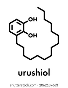 Urushiol poison ivy allergen molecule. Also present in poison oak, lacquer tree and poison sumac. Urushiol is a mixture of closely related components, only one of which is shown. Skeletal formula.