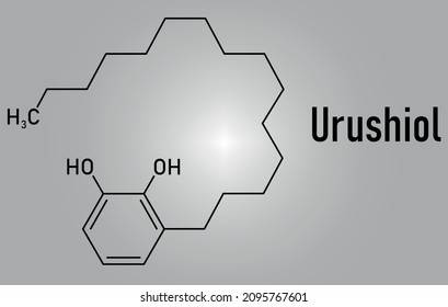 Urushiol Poison Ivy Allergen Molecule. Also Present In Poison Oak, Lacquer Tree And Poison Sumac. Urushiol Is A Mixture Of Closely Related Components, Only One Of Which Is Shown. Skeletal Formula.