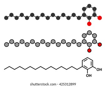 Urushiol Poison Ivy Allergen Molecule. Also Present In Poison Oak, Lacquer Tree And Poison Sumac. Urushiol Is A Mixture Of Closely Related Components, Only One Of Which Is Shown.