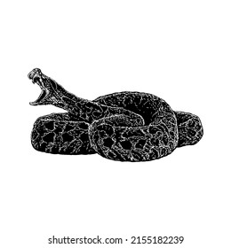 ilustración del vector del dibujo de la mano de la serpiente urutu aislada en fondo blanco