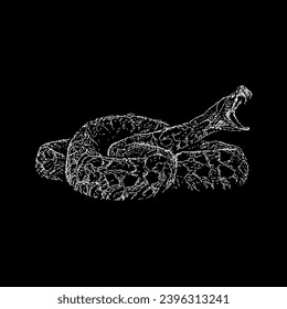 urutu snake hand drawing vector isolated on black background.