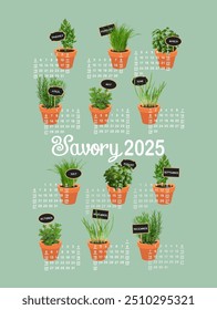 US 2025 calendário ano com ervas frescas em vasos, Savory 2025, fundo verde sábio, plantas verdes, vasos de terracota.