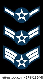 U.S. Air Force sleeve insignia: Airman, First Class, Senior