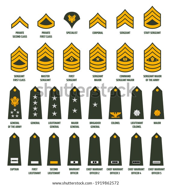 US army enlisted ranks chevrons and insignia.\
America military service soldiers, officers and command shoulder\
marks. Private, sergeant and general, captain, lieutenant and major\
rank slides vector