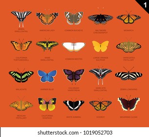 US Butterfly Species Name Set 1