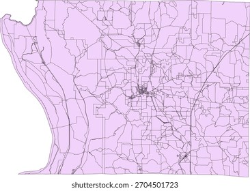 US Illinois State Union County Vektor Census Block 2020 Vektor Tabulation (Census) Block