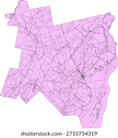 US Maine State Waldo County Vetor Census Block 2020 vetor Tabulação (Censo) Bloco