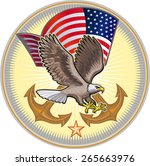 US Navy Eagle