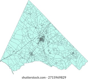 US South Carolina State Dillon County Vector Census Block 2020 vector Tabulation (Census) Block