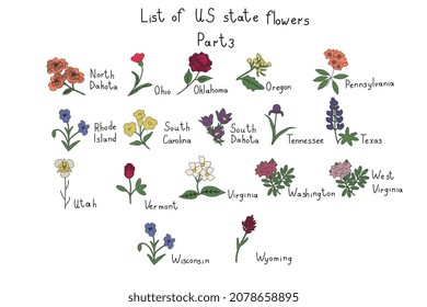 US state flowers isolated vector symbols