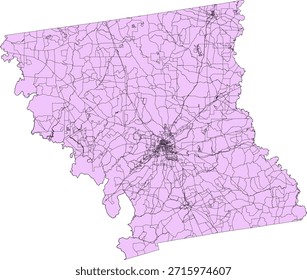 US Texas State Anderson County Vector Census Block 2020 vector Tabulation (Census) Block