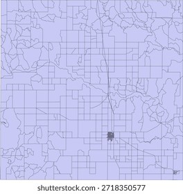 US Texas State Collingsworth County Vector Census Block 2020 vector Tabulation (Census) Block