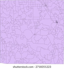 US Texas State Kent County Vektor Census Block 2020 Vektor Tabulation (Census) Block
