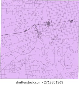 US Texas State Mitchell County Vector Census Block 2020 vector Tabulation (Census) Block