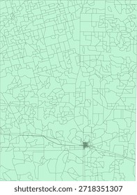 Bloque del censo de Vectores del condado de Reagan del estado de Texas Bloque de tabulación de Vectores (censo) de 2020