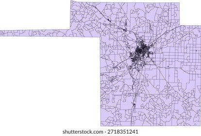 Bloque del censo de Vectores del estado de Texas Tom Green County Bloque de tabulación de Vectores (censo) de 2020