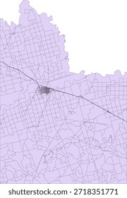 US Texas State Wilbarger County Vector Census Block 2020 vector Tabulation (Census) Block