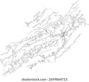 US Virginia State Craig County Roads vector 2024 for all roads