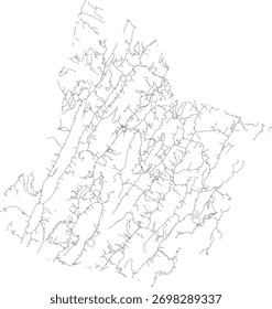 EE.UU. Virginia State Highland County Roads Vector 2024 para todas las carreteras