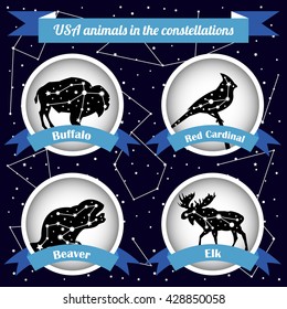 USA animals in the constellations. Animals icon set with ribbons. Dark background with stars and constellations.