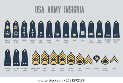 USA army insignia, us army military chevrons for general, lieutenant, major and brigadier. Colonel, captain, chief warrant officer and command or master sergeant, staff, specialist and private ranks