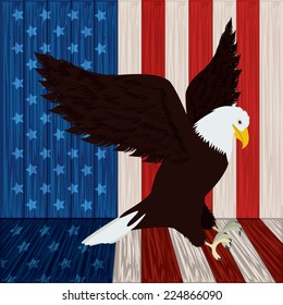 USA design over emblem background, vector illustration