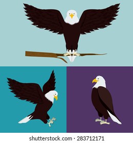 USA design over white background, vector illustration