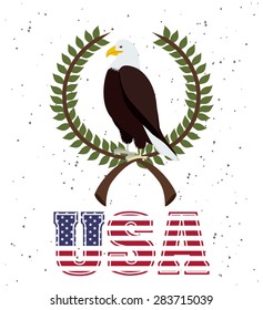 USA design over white background, vector illustration
