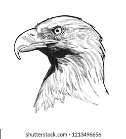 Usa Eagle Head Stock Vector (Royalty Free) 1213496656 | Shutterstock