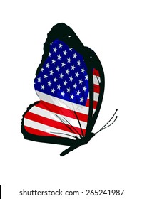 Borboleta bandeira dos EUA - vetor