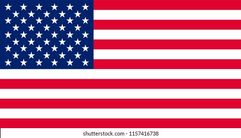 USA flag icon, vector