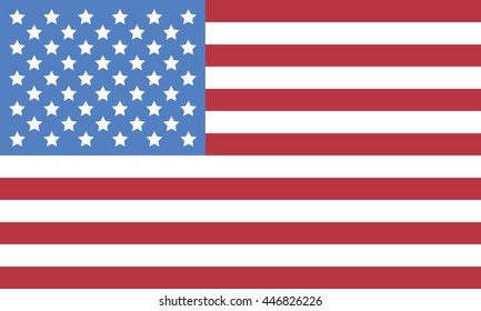 USA flag icon vector