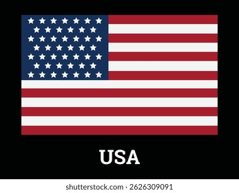 USA Flaggensymbol Vektorgrafik-Design