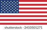USA flag - isolated on white background
