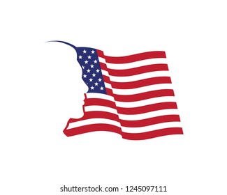 USA Flag Logo Design