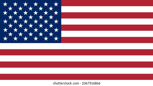 USA flag with official colors and the aspect ratio of 10:19. Flat vector illustration.