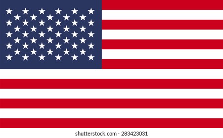 USA Flag Pattern Background.Vector EPS10
