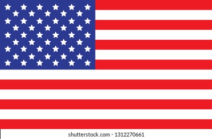 USA flag. Simple vector The United States of America flag