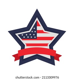 usa flag in star emblem