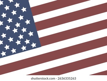 USA flag in style vector